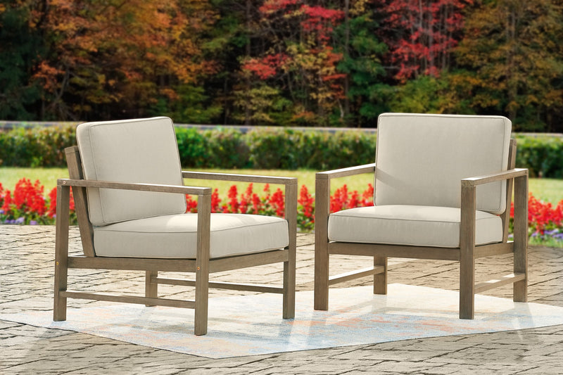 Fynnegan Lounge Chair with Cushion (Set of 2) image